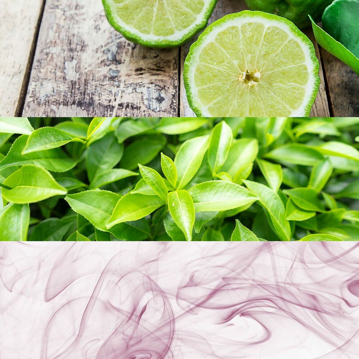 V12H5BCC7508FCB91BD2688409BE1CFC8407R3644007P5