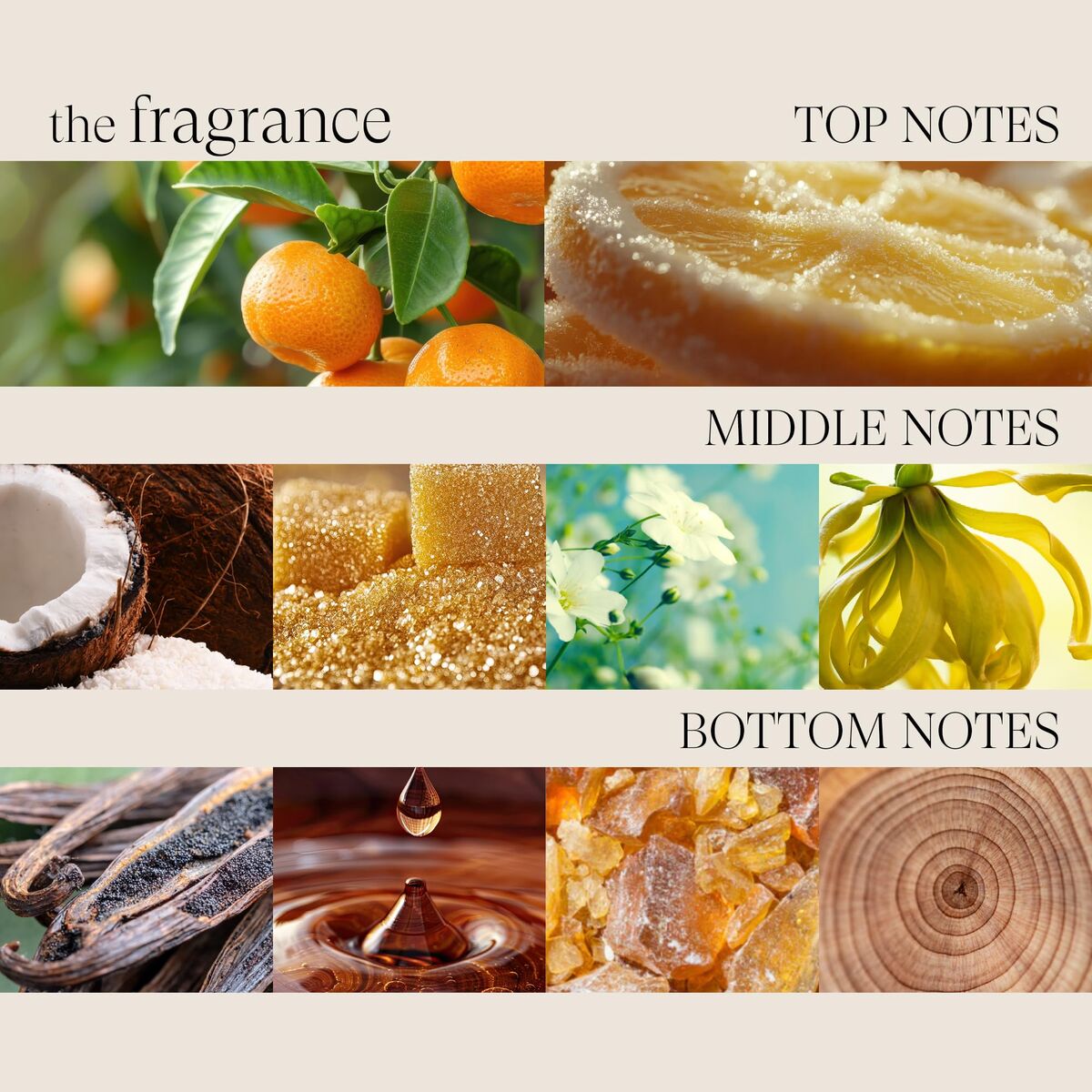 V2H33843E66C8A4729FEDE0640FC2E5B0FFR7472897P7