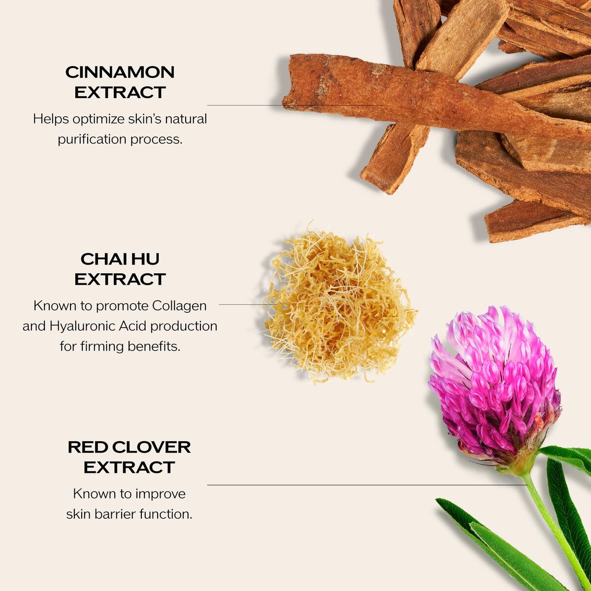 V1HA6442ED7B8F5129FC036F04555C2FBE7RP5