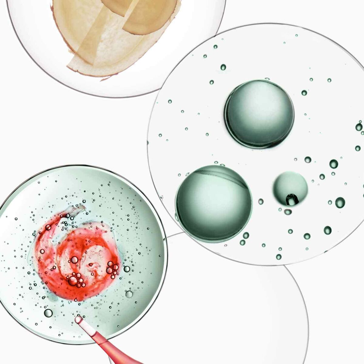 V2H0F1B86C75B19FAD8302E48E222D53EA0R7095582P3