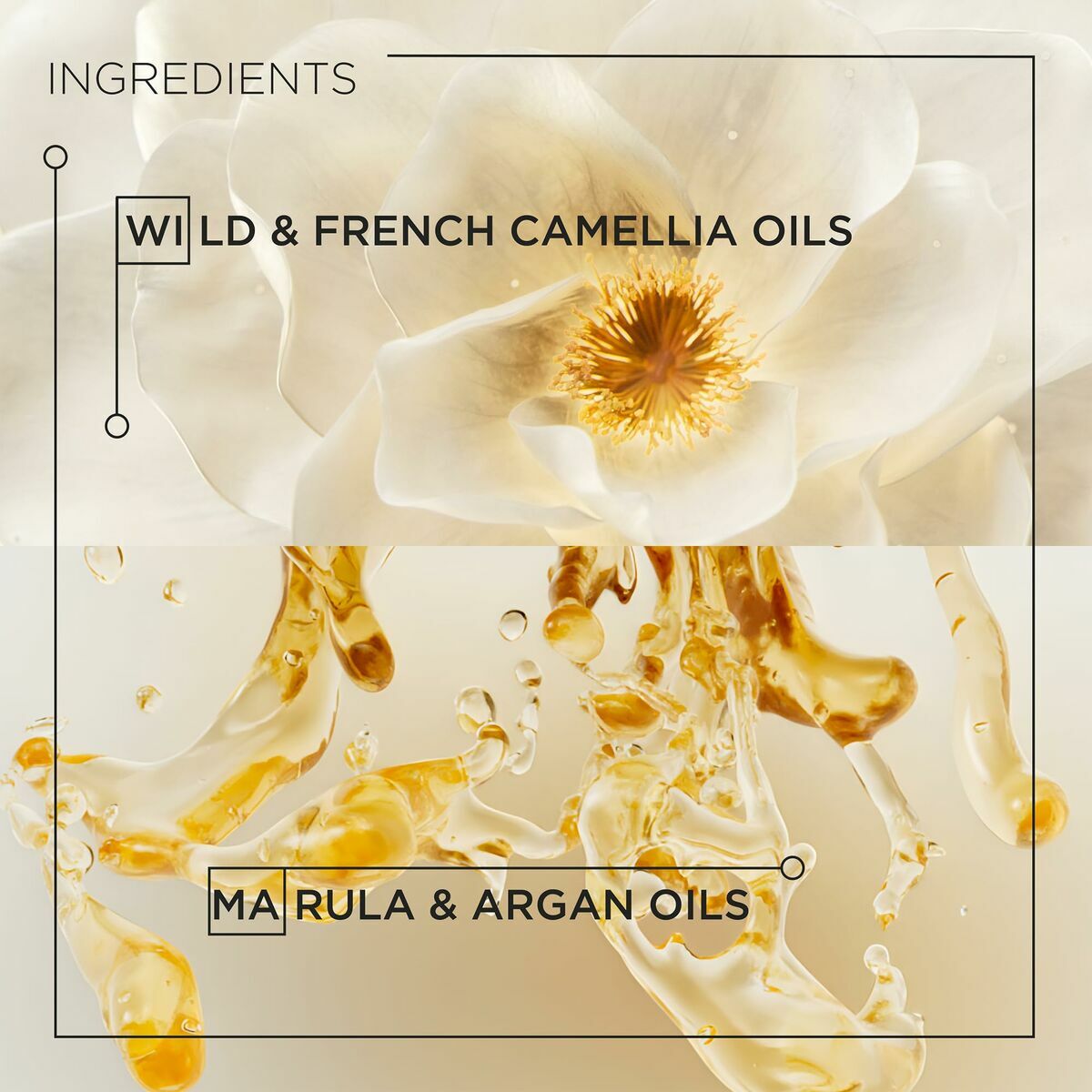 V3HF98BED0F0EB848EBD65095CD458BD653R5915535P4