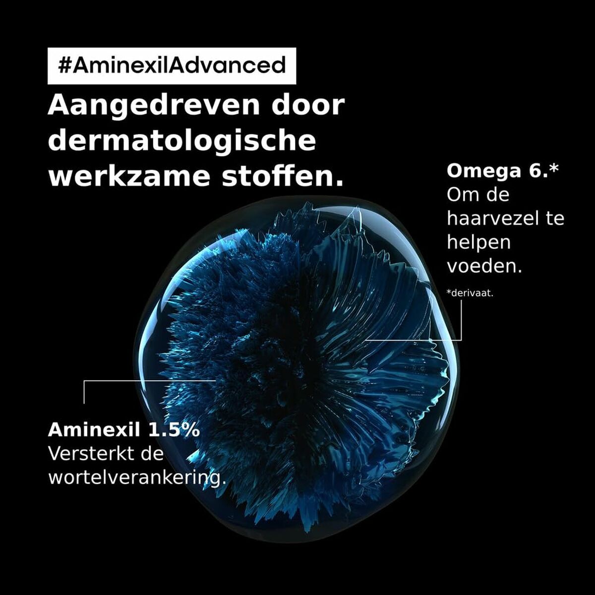 V3H34DF662D008A21A6F54F88EC673EFDD4R6986558P3