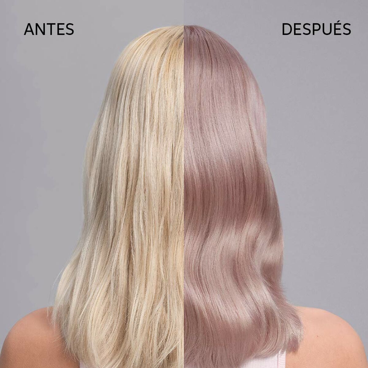 V5H7DE79E522C981B36BB369D4DD7162B3ER4935952P2