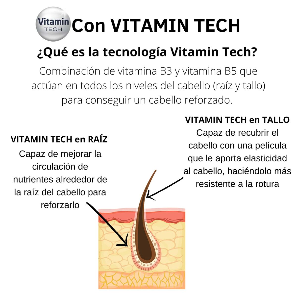 V6H3AEF1373927D1EB9AC51304688AD7876R4327530P3