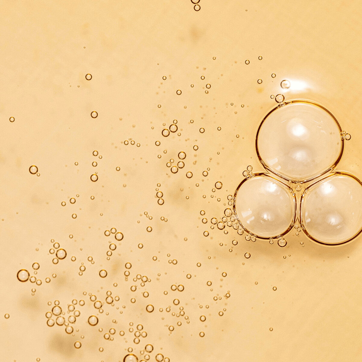 V2H97A54B38F4A44F7C822DA7104B490C83R7528171P7